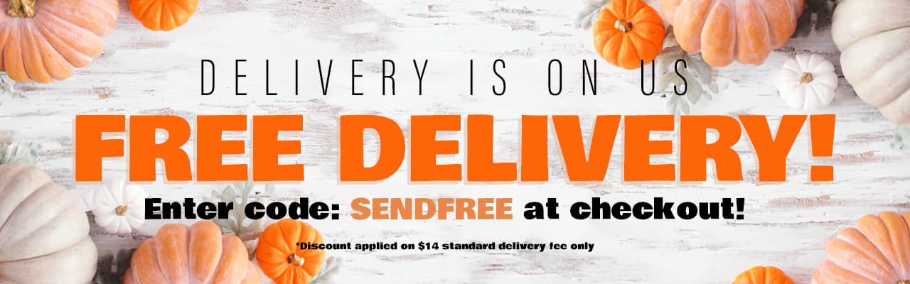 free delivery promo code