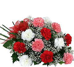 Carnation Trio