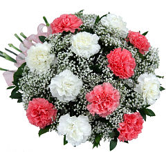 Pink and White Carnations