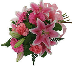 Pink Hand Tied