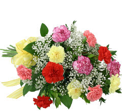 Rainbow Carnations