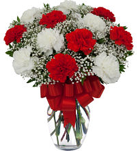 12 Red and White Carnations