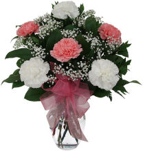 White & Pink Blooms