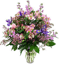 Beautiful Pinks