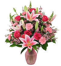 Premium Pinks