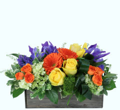 Best Selling Flowers · Canada Flowers.ca