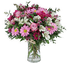 Love Blossoms