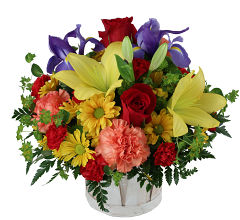 Best Selling Flowers • Canada Flowers