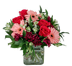 Harmony Blooms