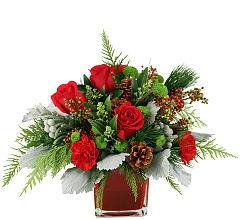 Holiday Pine
