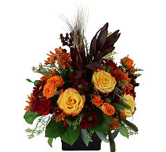 Many Thanks