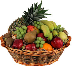 Fruits of the World