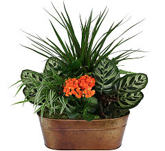 Rustic Planter
