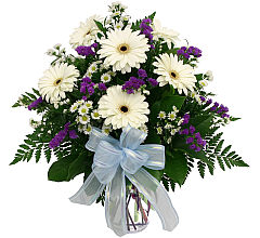 Gerbera Daisies