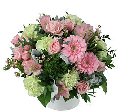 Vintage Pinks