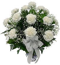 White Carnations