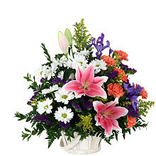 Blooming Beauty