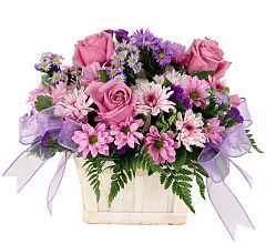 Pretty Pastel's