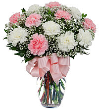 Pretty Carnations
