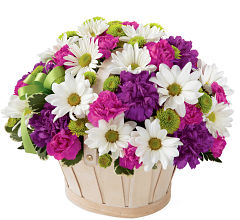Blooming Bounty