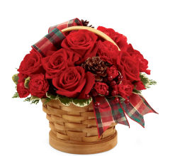 Joyous Holiday