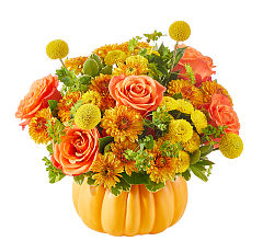 Gourdgeous Pumpkin