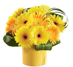 Sunny Surprise
