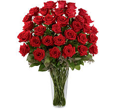 36 Red Roses