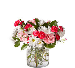 Sweet Surprises