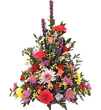 Gift of Colour