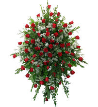 Rose Splendour