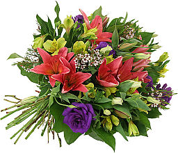 Any Occasion