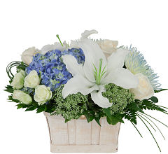 Comfort Basket