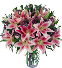 Spirited Lilies