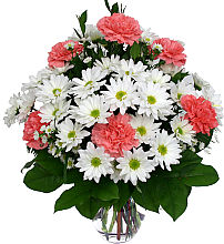 Daisies and Carnations