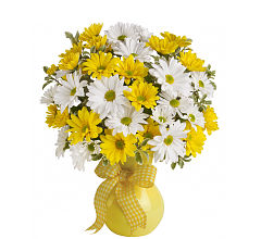 Upsy Daisy