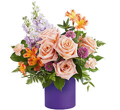 Dreamland Blooms
