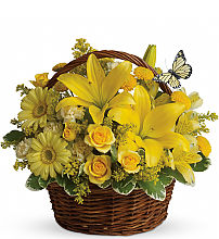 Basket Full of Wishes