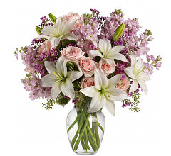 Blossoming Romance