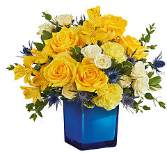 Golden Blue