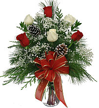 Christmas Sparkle