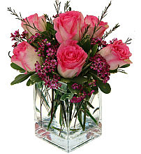Pink Roses