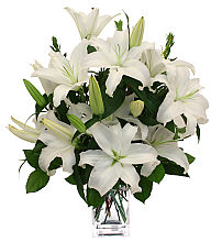 Purity