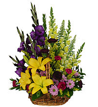 Sympathy Garden
