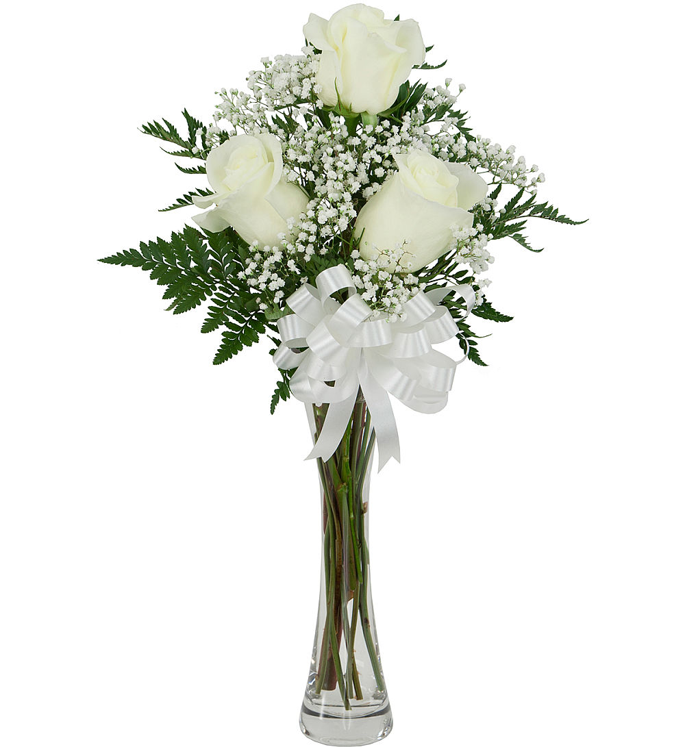 3 White Roses · Sympathy Budget · Canada Flowers