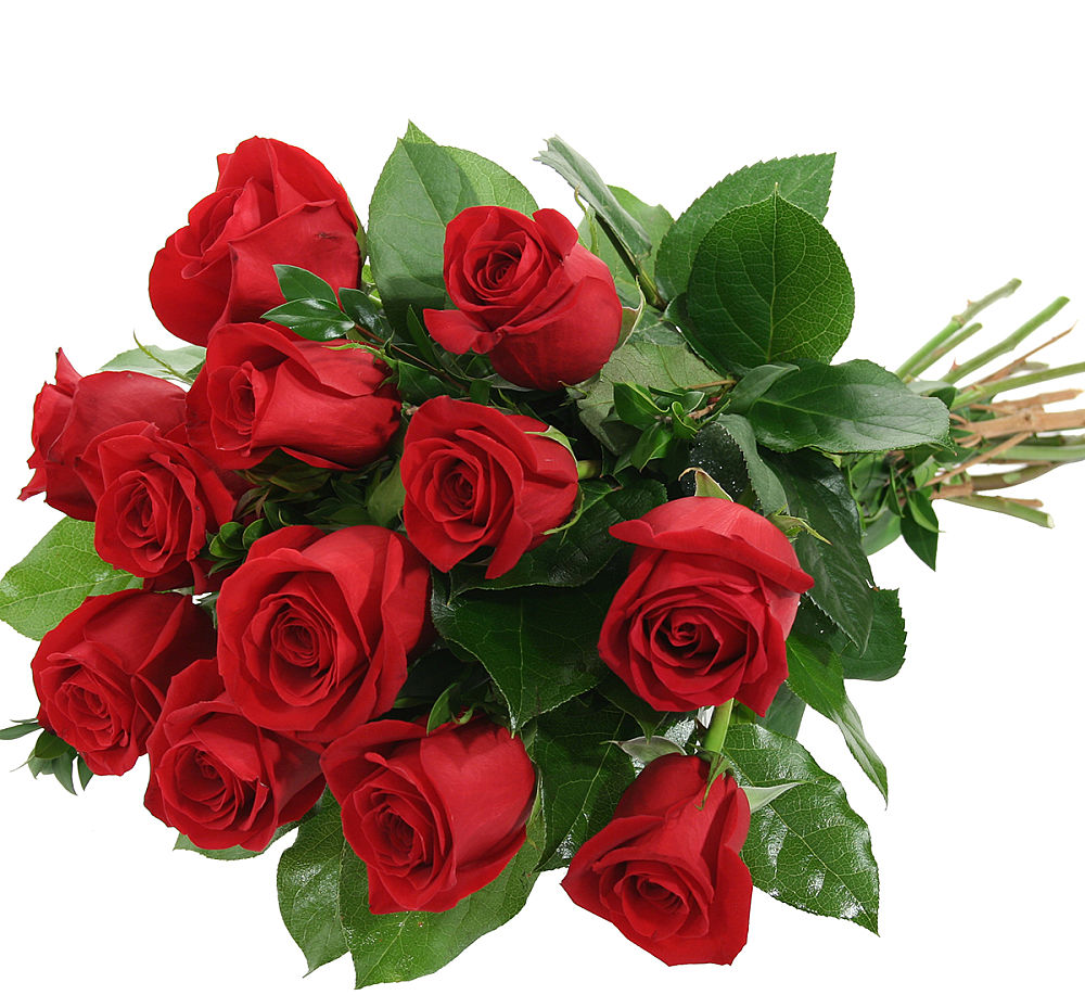 Red Rose Bouquet · Uk Flower Delivery · Canada Flowers 