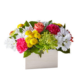 Bay Roberts Flower Delivery Find Your Perfect Bouquet