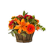 FTD® Nature's Elegance Bouquet #FA14FA • Canada Flowers