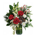 Teleflora's Cozy Christmas #CH23TA • Canada Flowers