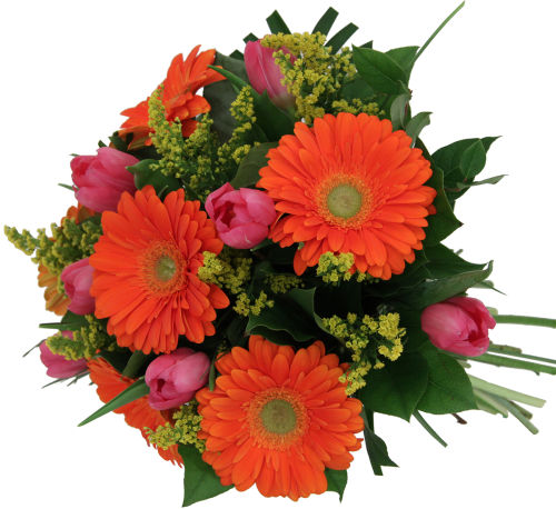 Tulip & Gerbera Bouquet